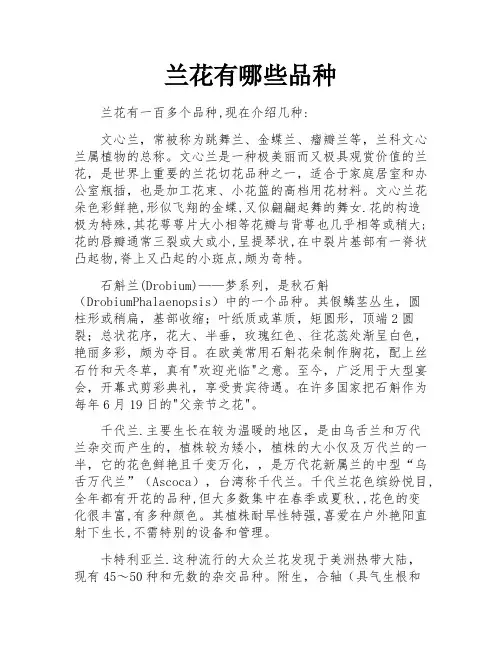 兰花有哪些品种