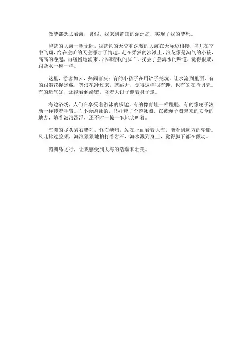 湄洲岛之旅_450字