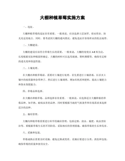 大棚种植草莓实施方案