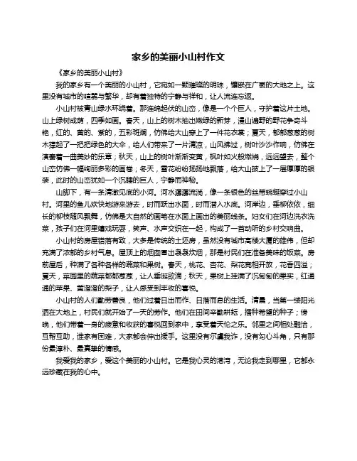 家乡的美丽小山村作文