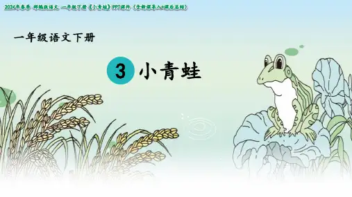 小青蛙课件(共26张PPT)