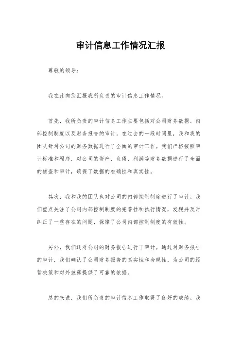 审计信息工作情况汇报