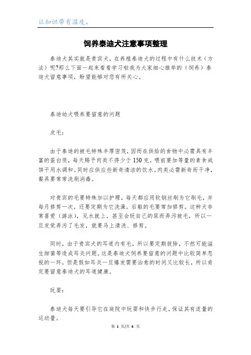 饲养泰迪犬注意事项整理