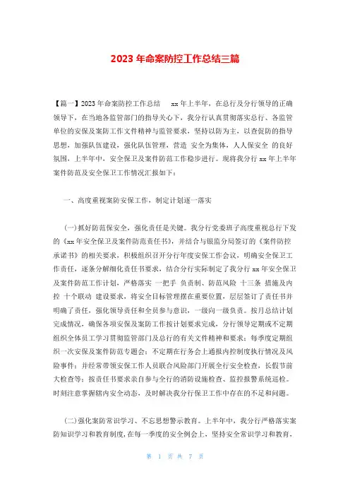 2023年命案防控工作总结三篇