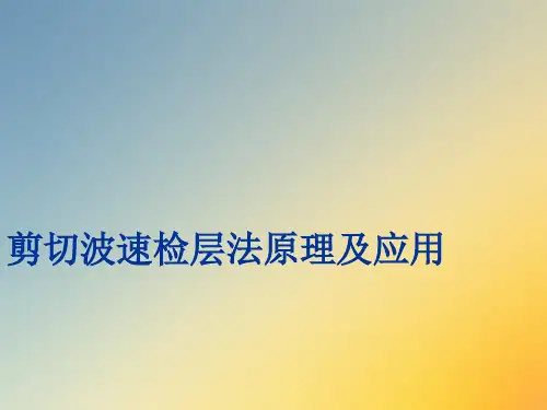 剪切波测试规范.ppt
