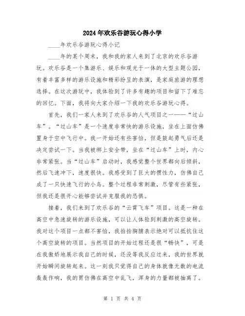 2024年欢乐谷游玩心得小学