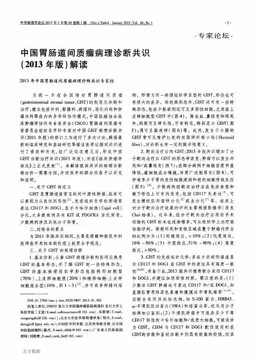 中国胃肠道间质瘤病理诊断共识(2013年版)解读