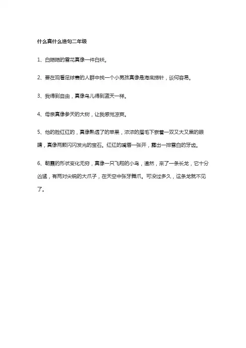 什么真什么造句二年级