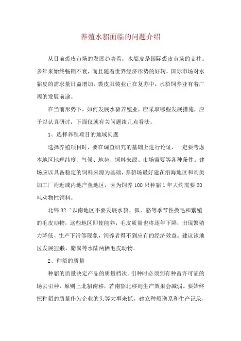 养殖水貂面临的问题介绍