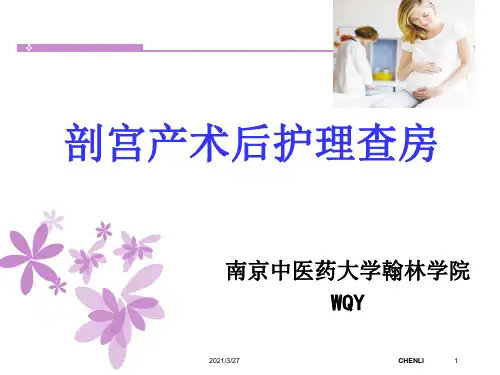 剖宫产术后护理查房