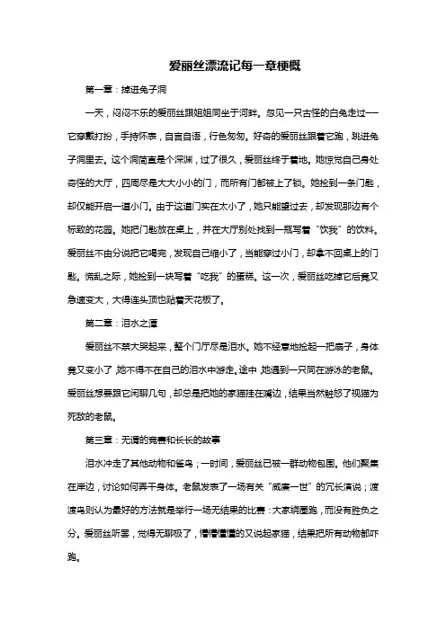爱丽丝漂流记每一章梗概