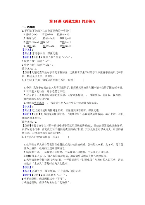 九年级语文上册第四单元16《孤独之旅》同步练习新人教版