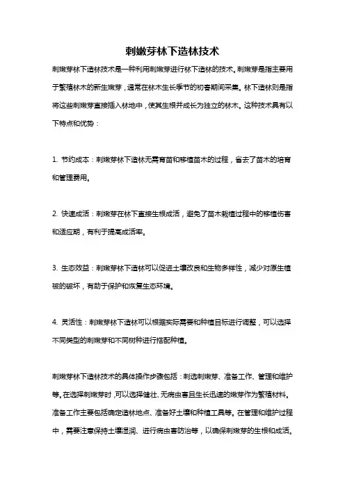刺嫩芽林下造林技术
