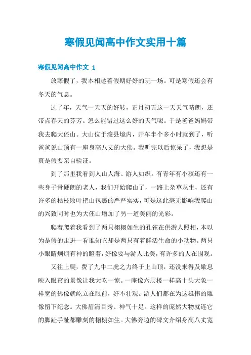 寒假见闻高中作文实用十篇