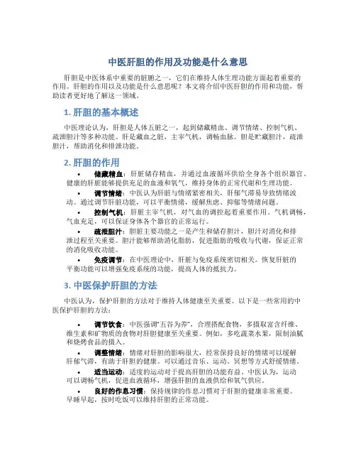 中医肝胆的作用及功能是什么意思