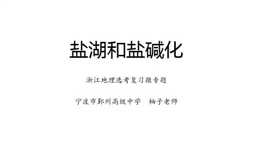 浙江地理选考微专题：盐湖和盐碱化