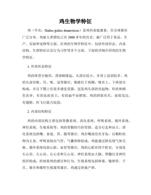 鸡生物学特征