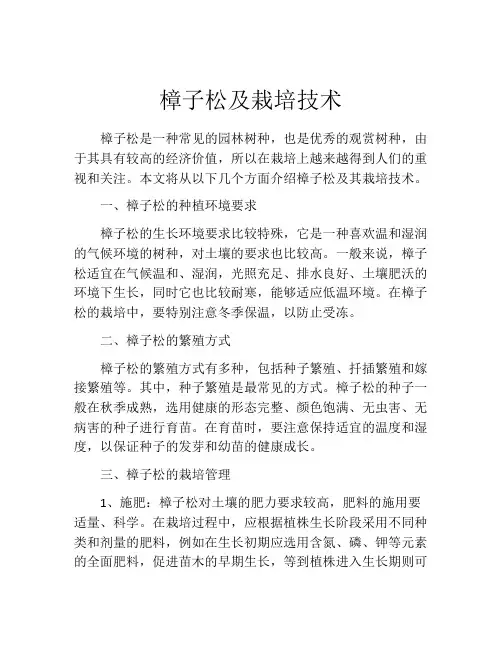 樟子松及栽培技术