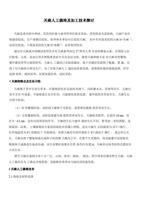 天麻人工栽培及加工技术探讨