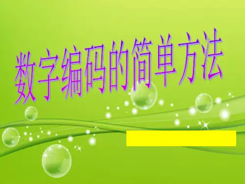 五年级数字编码