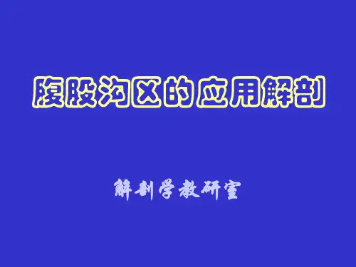 腹股沟区应用解剖