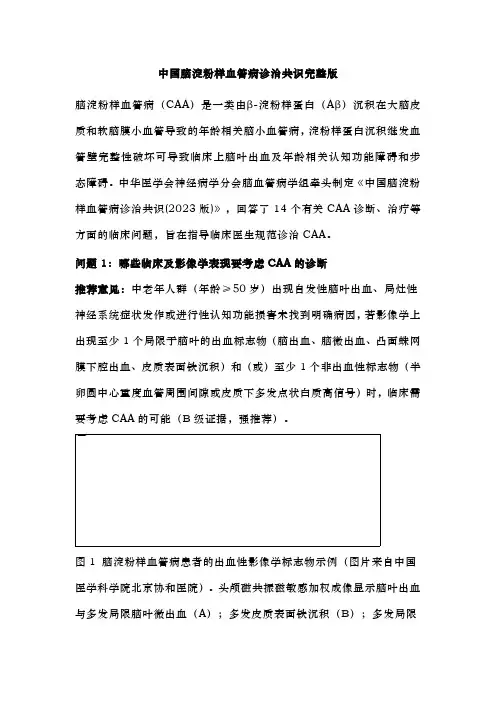 中国脑淀粉样血管病诊治共识完整版