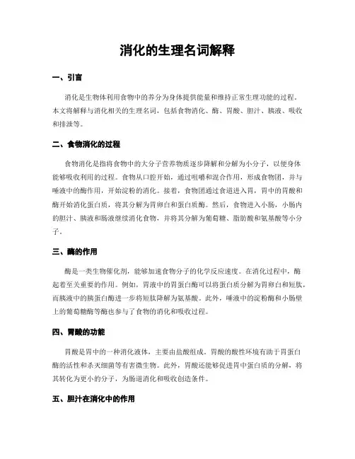 消化的生理名词解释