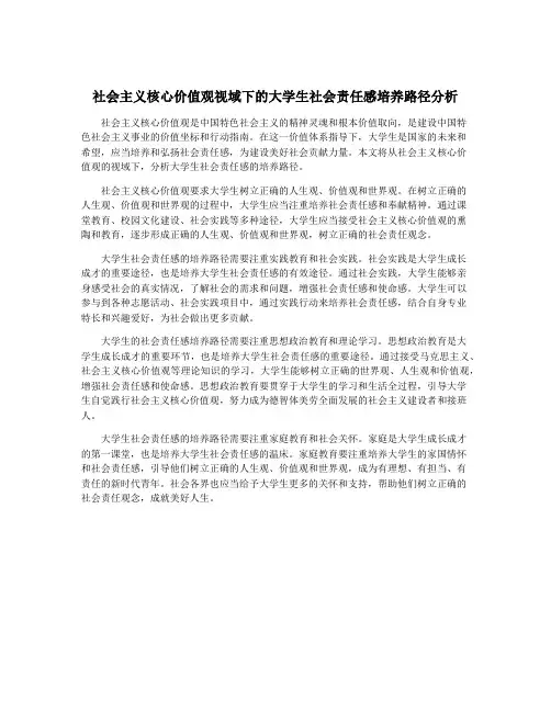 社会主义核心价值观视域下的大学生社会责任感培养路径分析