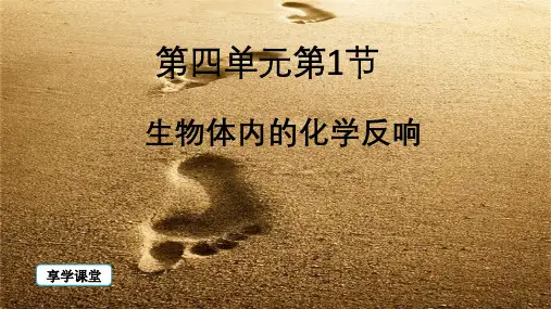 整理生物体内的化学反应