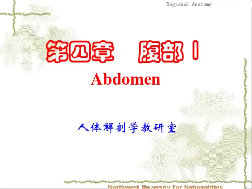 06  腹部解剖 1