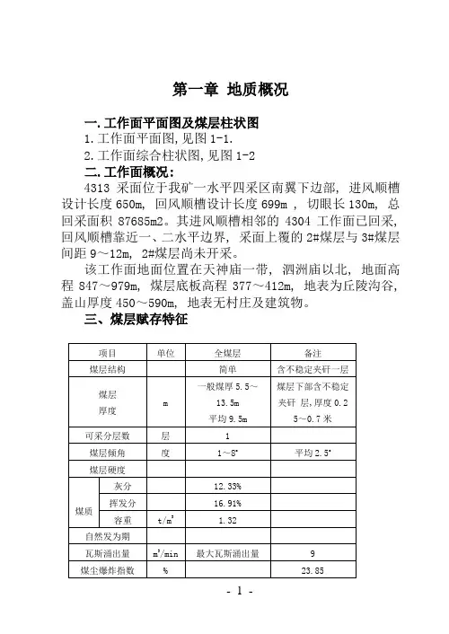 4313放顶煤回采作业规程(H)1