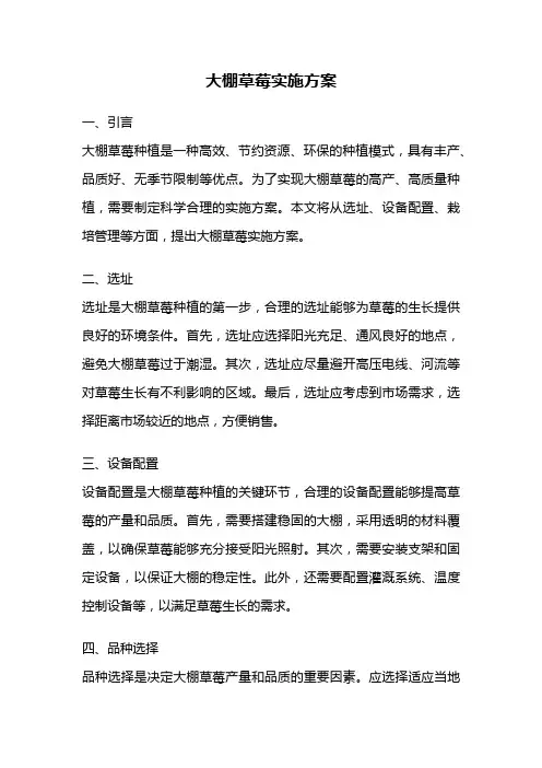 大棚草莓实施方案
