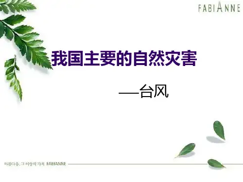 台风