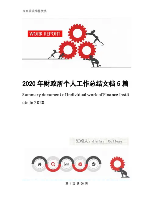 2020年财政所个人工作总结文档5篇