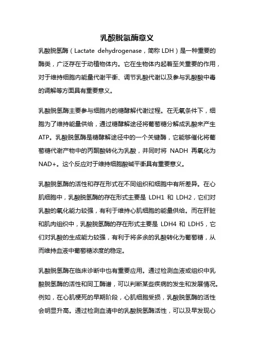 乳酸脱氢酶意义
