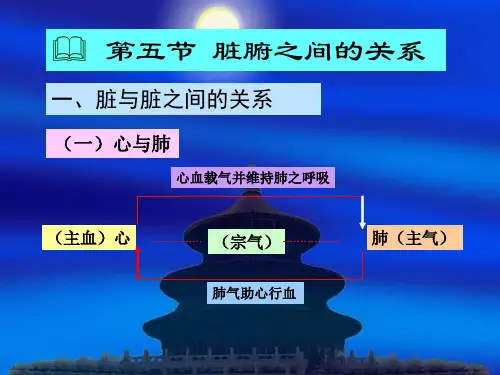 中医第五节 脏腑之间的关系 PPT课件