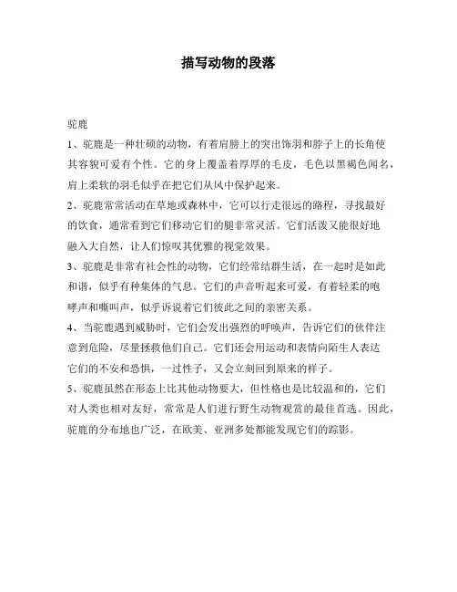 描写动物的段落