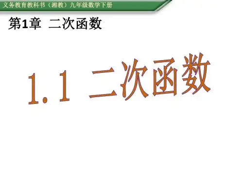 2019春(湘教版)九年级数学下册课件：1.1二次函数(共14张PPT)