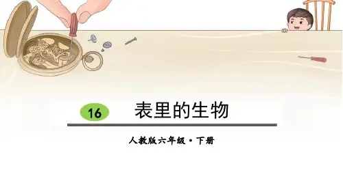 《表里的生物》PPT教学课件