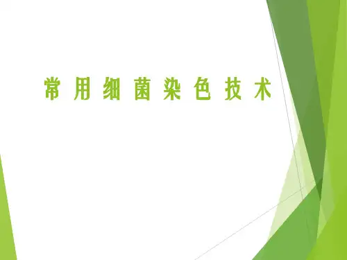 常用细菌染色技术