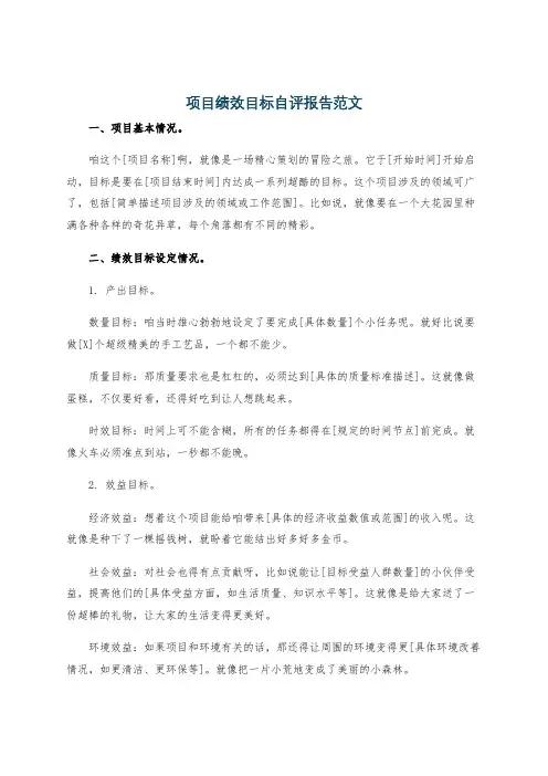 项目绩效目标自评报告范文