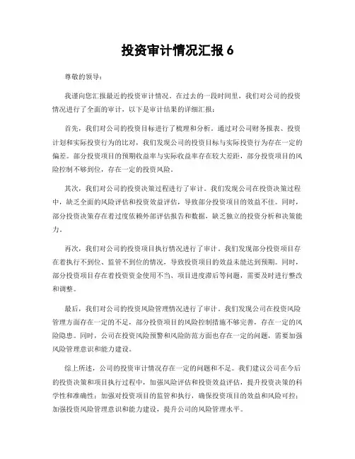 投资审计情况汇报6
