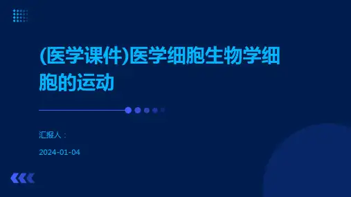 (医学课件)医学细胞生物学细胞的运动