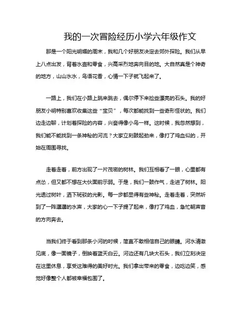 我的一次冒险经历小学六年级作文