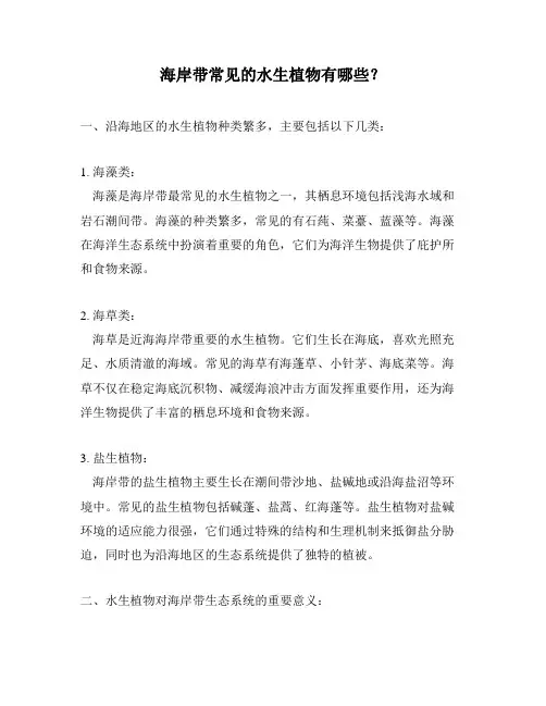 海岸带常见的水生植物有哪些？