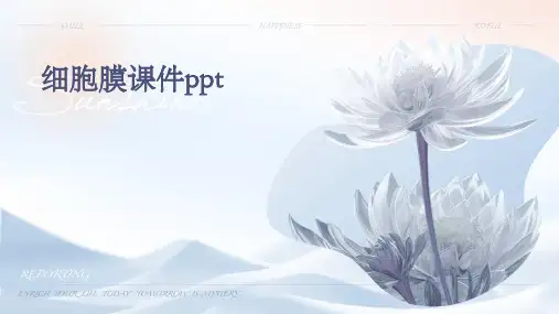 细胞膜课件PPT课件
