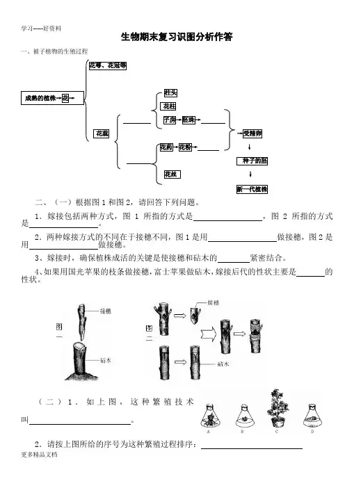 人教版八年级生物下册识图汇编
