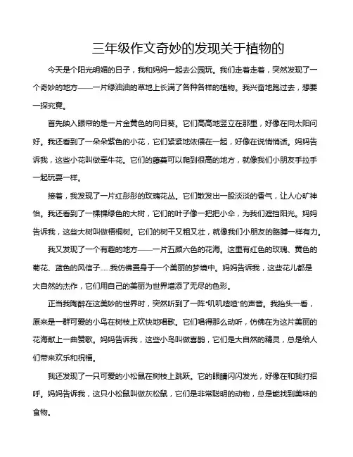 三年级作文奇妙的发现关于植物的
