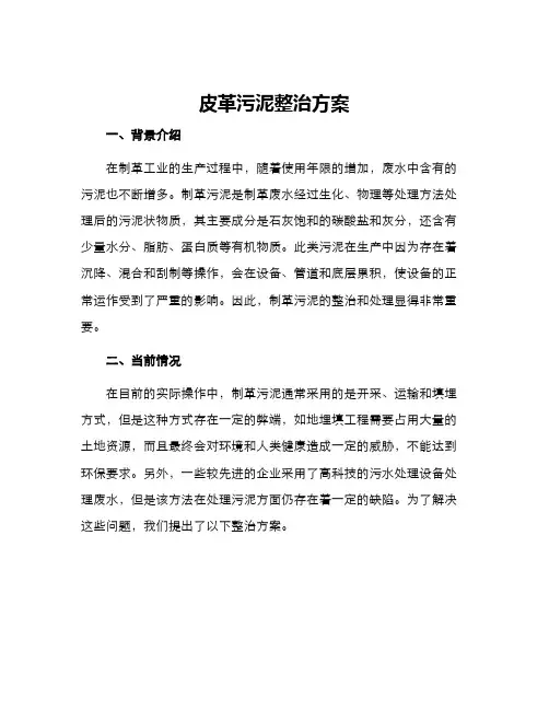 皮革污泥整治方案