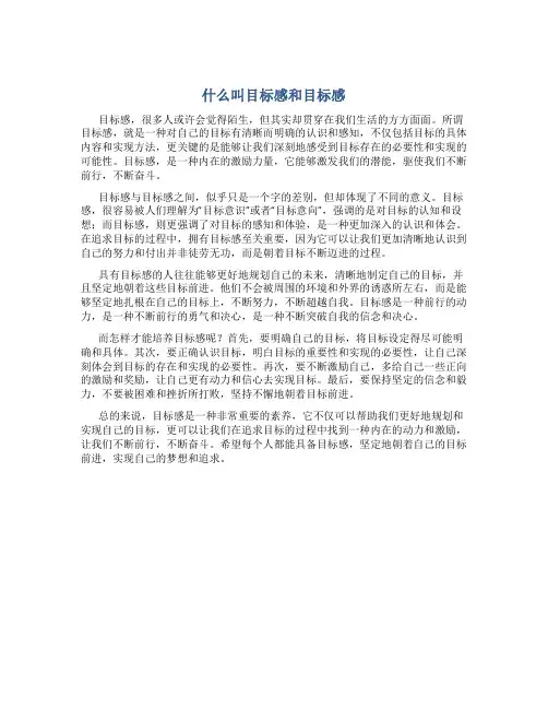 什么叫目标感和目标感